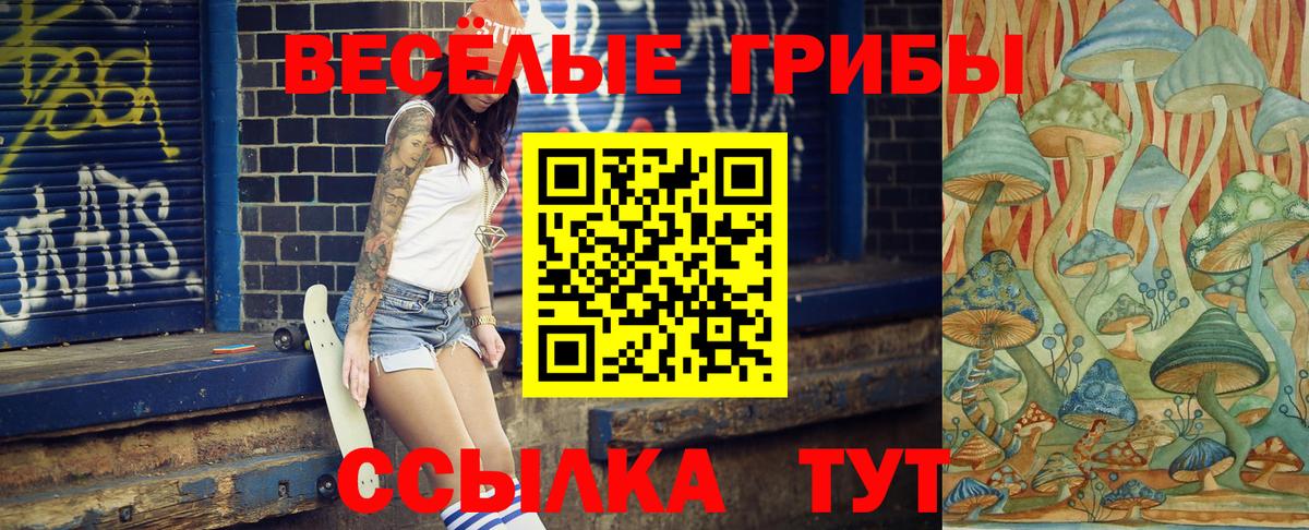 Партизанск  Псилоцибиновые грибы Cubensis  Вход с VPN 