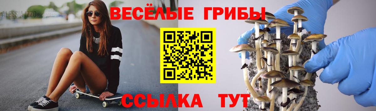 Псилоцибиновые грибы мухоморы Партизанск