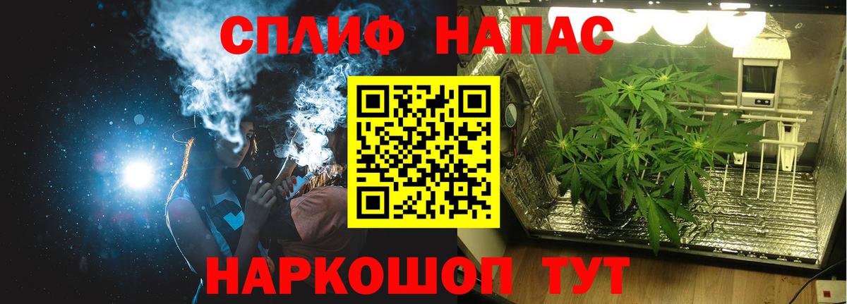 Конопля Ganja Партизанск